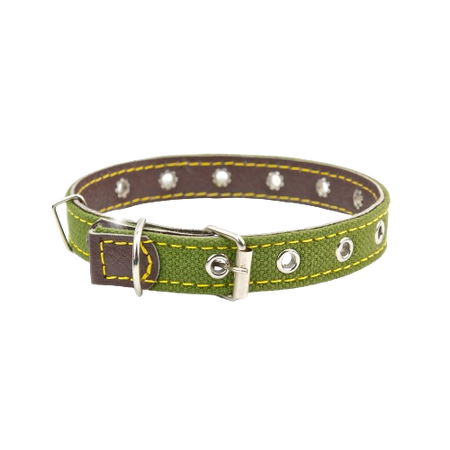 Collars and Leashes