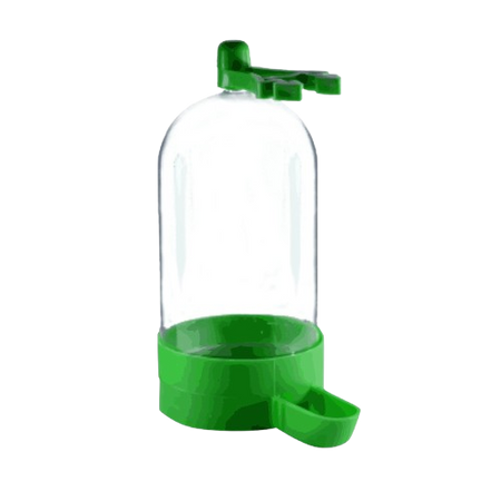 Accessories for Birds
