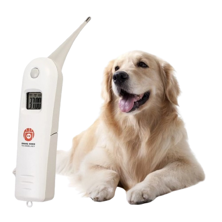 Thermometers for Pets